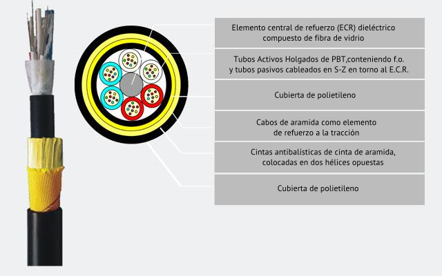 PKCP- cabecera_final